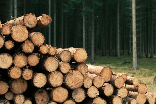 Photo of logs by Aleks BM: https://www.pexels.com/photo/stacked-wood-logs-7744514/