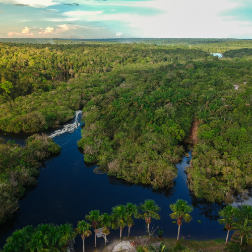 Amazon forest photo by Phaelnogueira on Canva: https://www.canva.com/photos/MAFmRE99MSM-aerial-view-of-the-amazon-rainforest-in-brazil